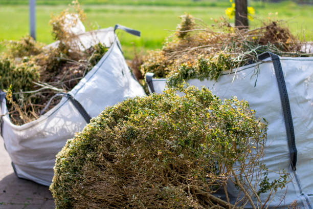 Best Electronics Removal Services  in Victorville, CA