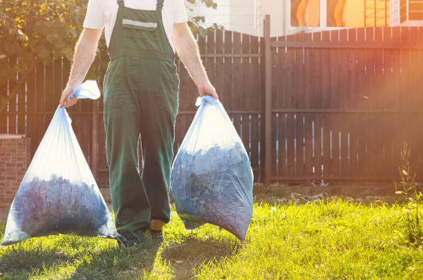 Yard Cleanup Services in Victorville, CA